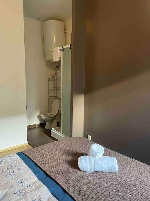 Apartament La Pirouette*Wifi*Proche Gare Sncf Amiens Zewnętrze zdjęcie